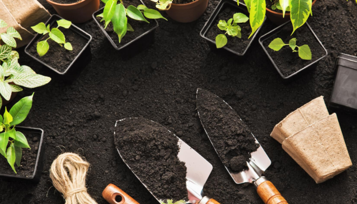 gardening starts