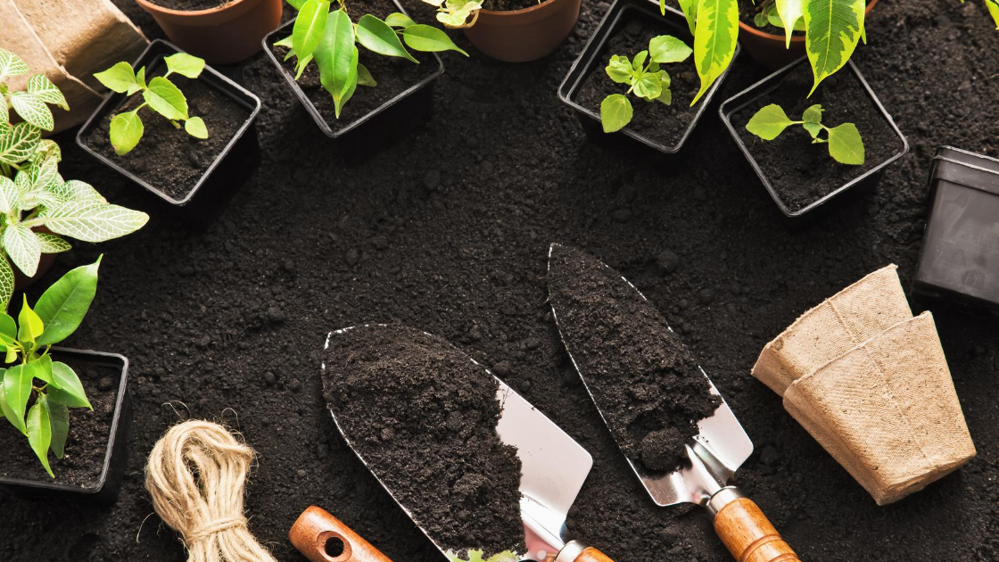 gardening starts gardening starts