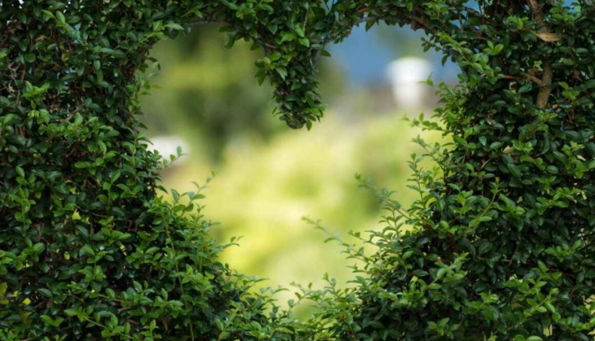 heart health LIB