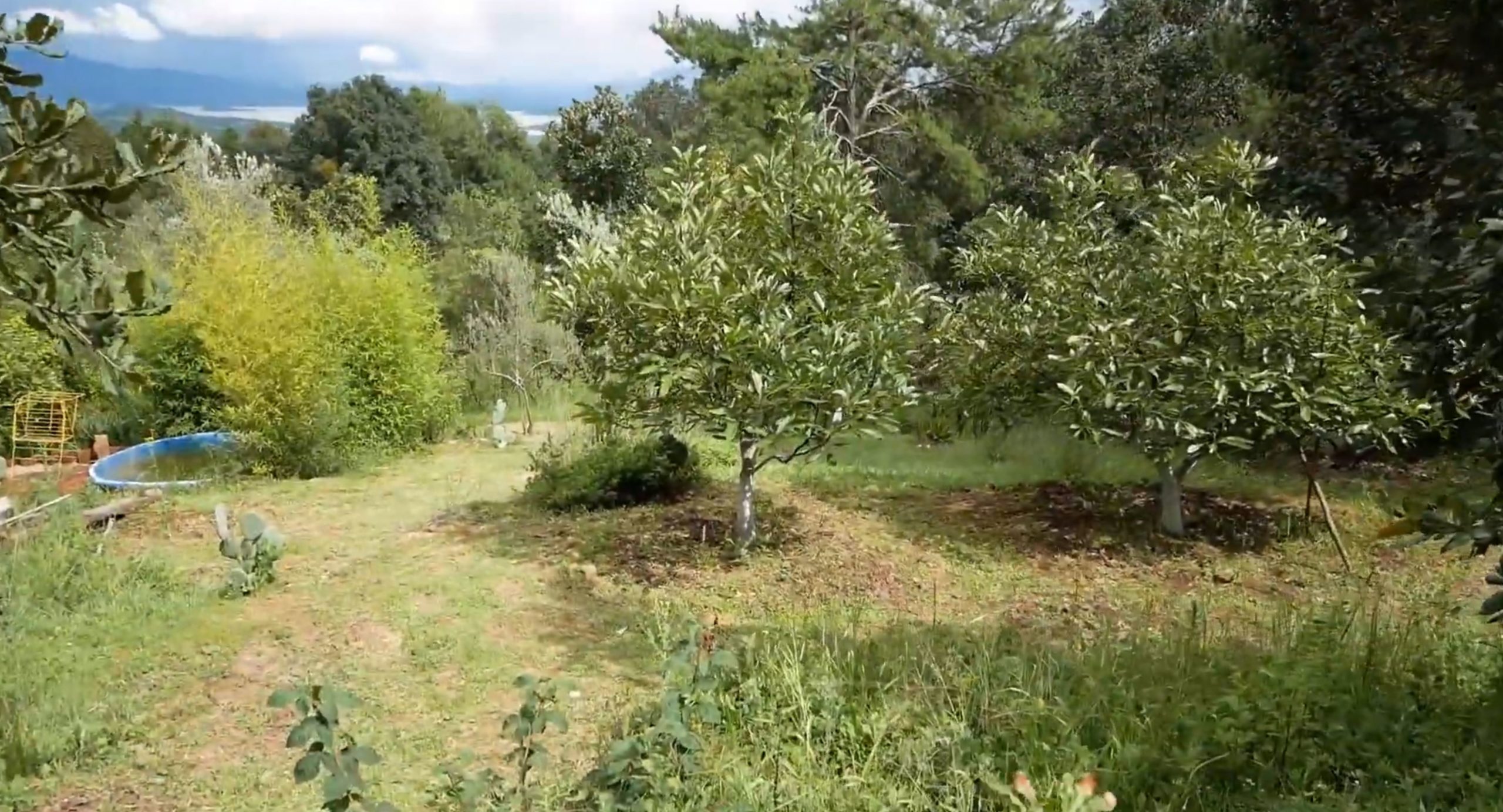 permaculture permaculture