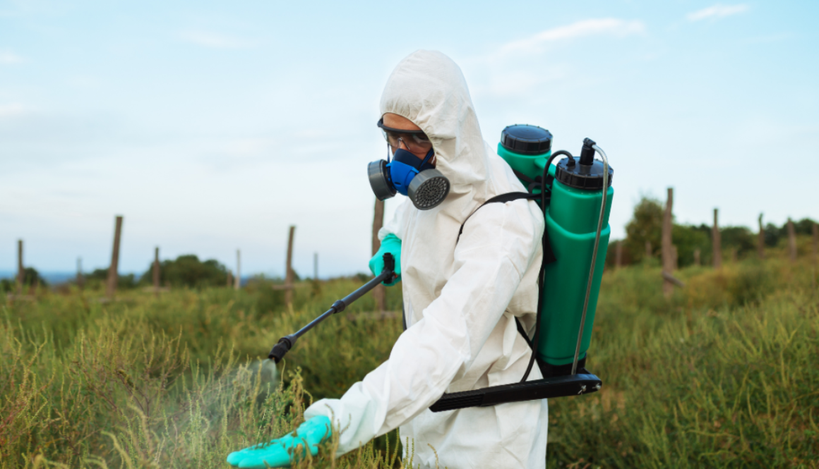 pesticides insecticides herbicides