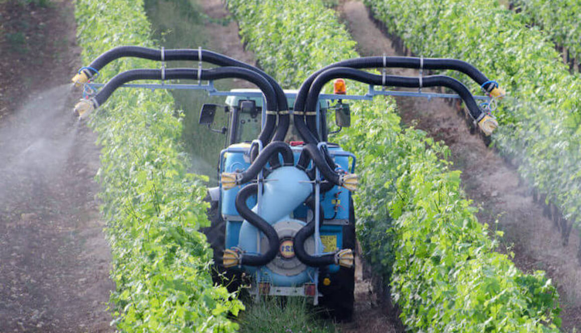 Chlorpyrifos