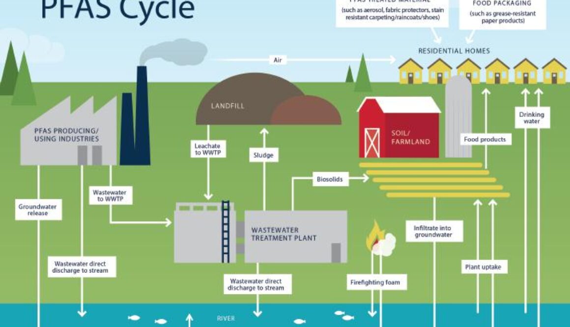 PFAs cycle plastics in water