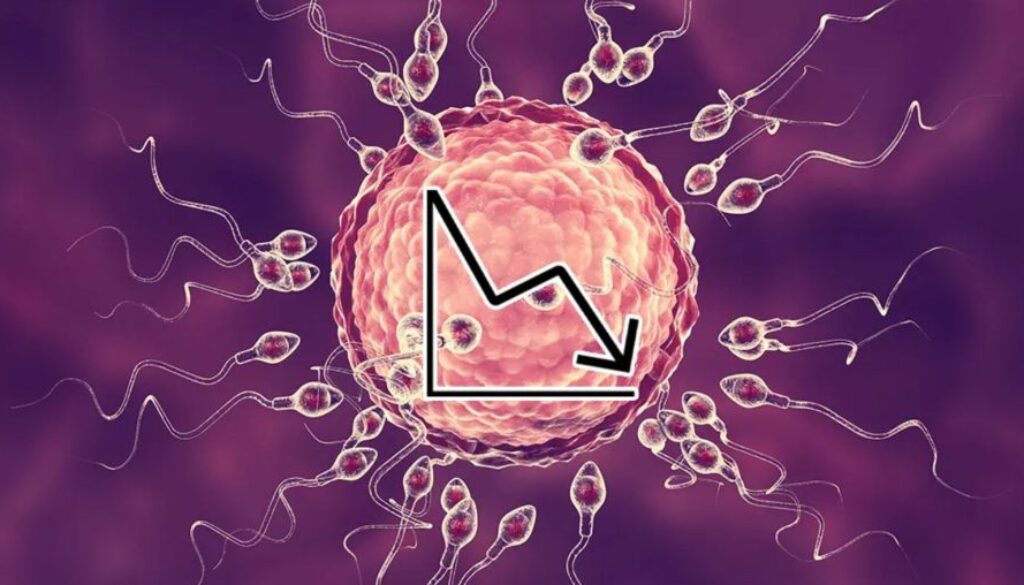 fertility tt