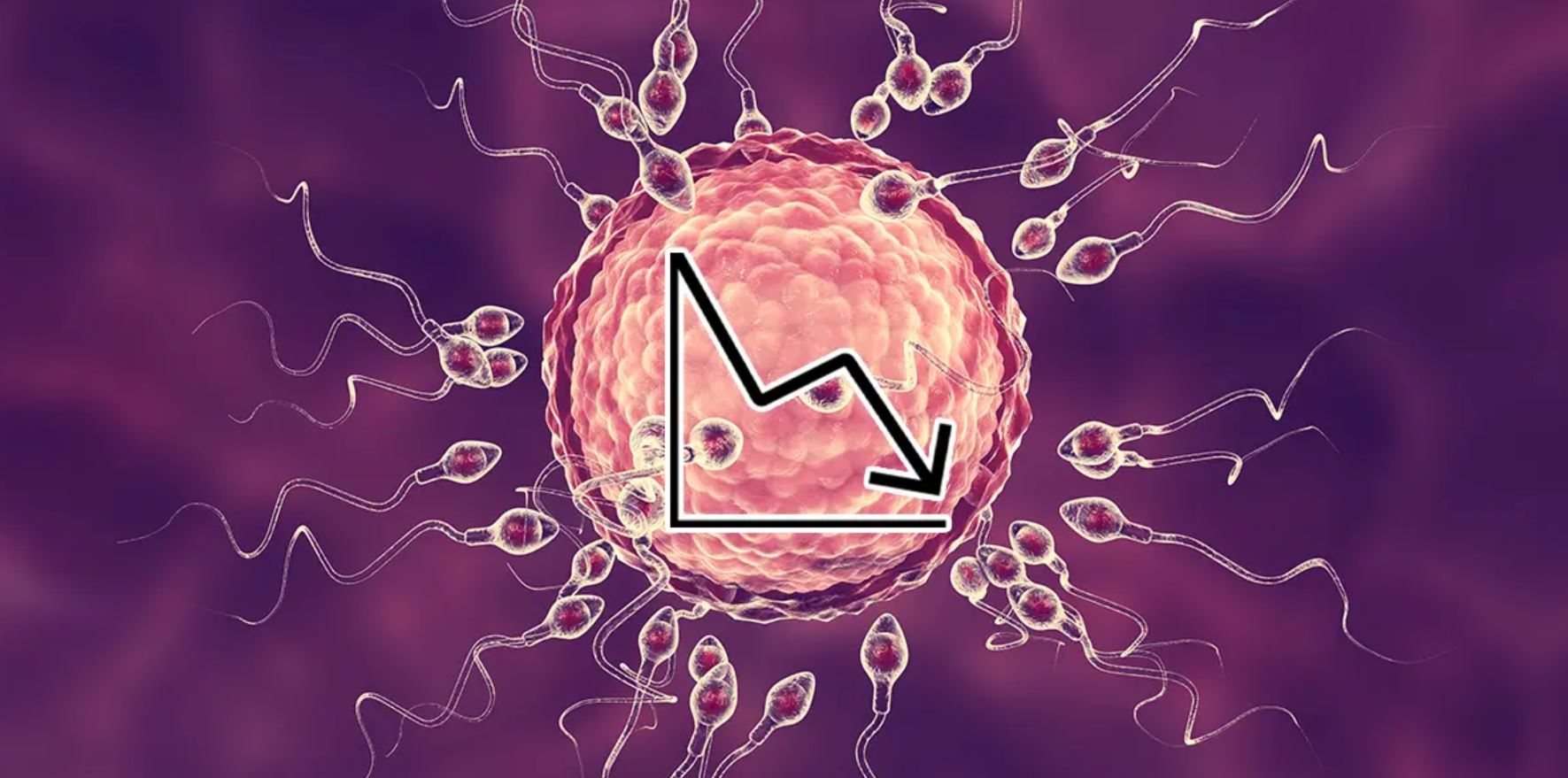 Declining Fertility Rates In The Next 50 Years Can Lead To A 