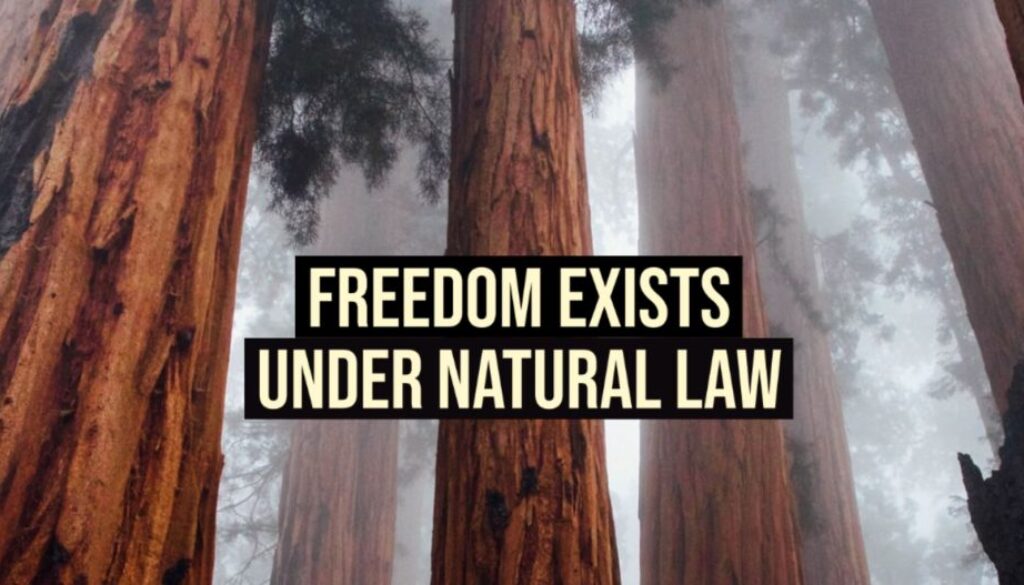 freedom law