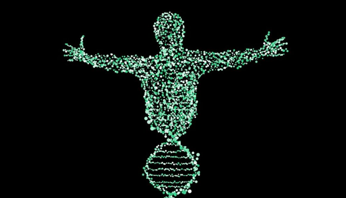 nyc dna rl