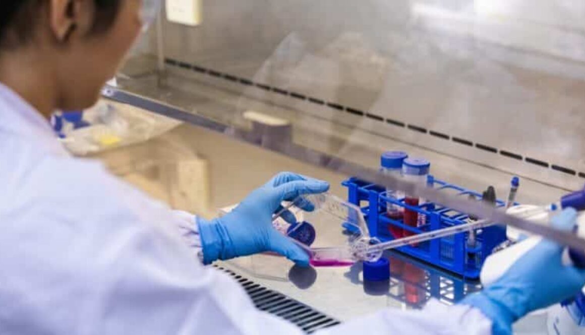 scientists-creating-shrimp-777x437