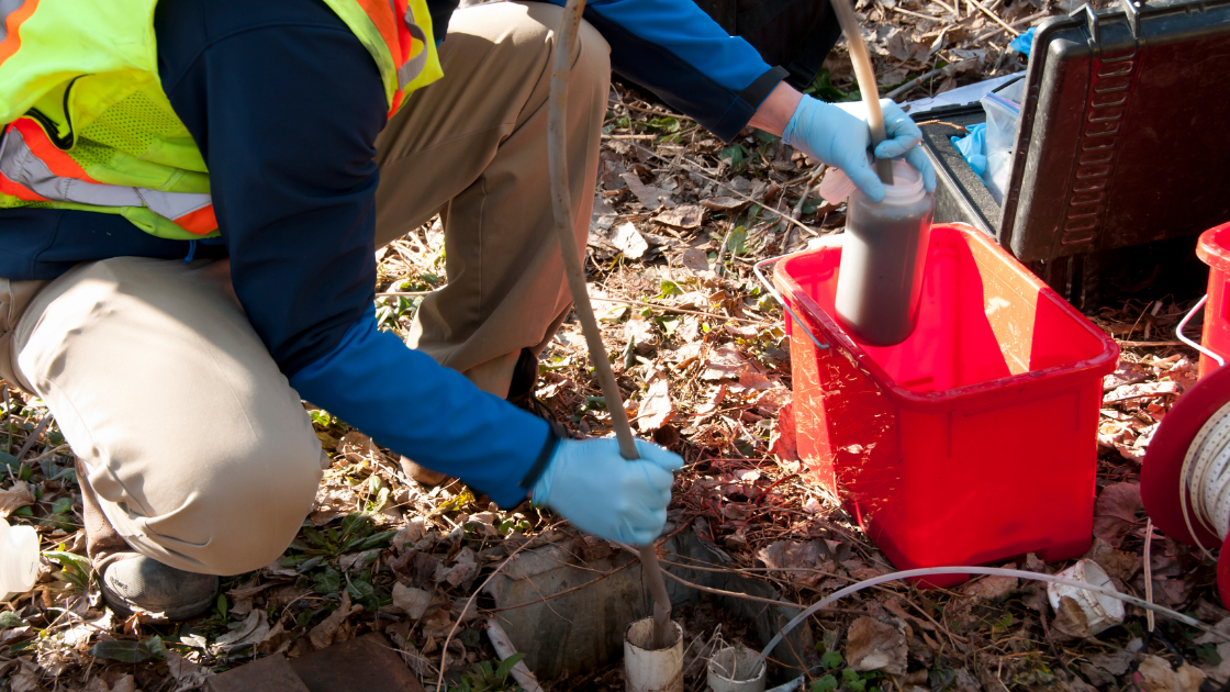 sewage water surveillance