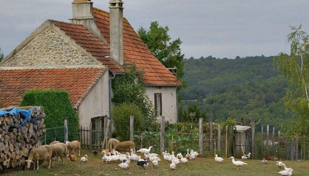 small farm france ISN