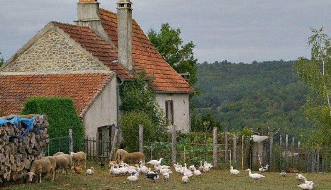 small farm france ISN