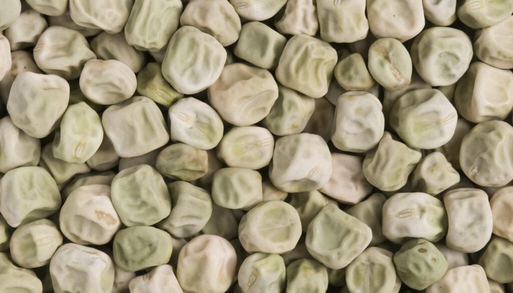 wrinkled peas prevent diabetes
