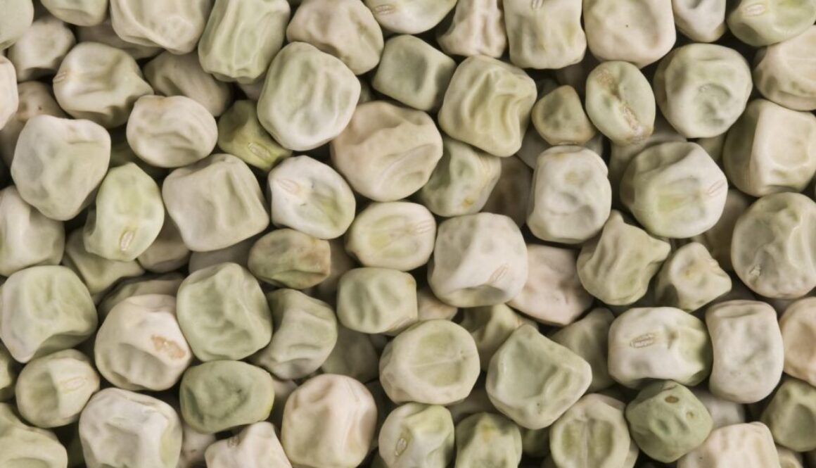 wrinkled peas prevent diabetes