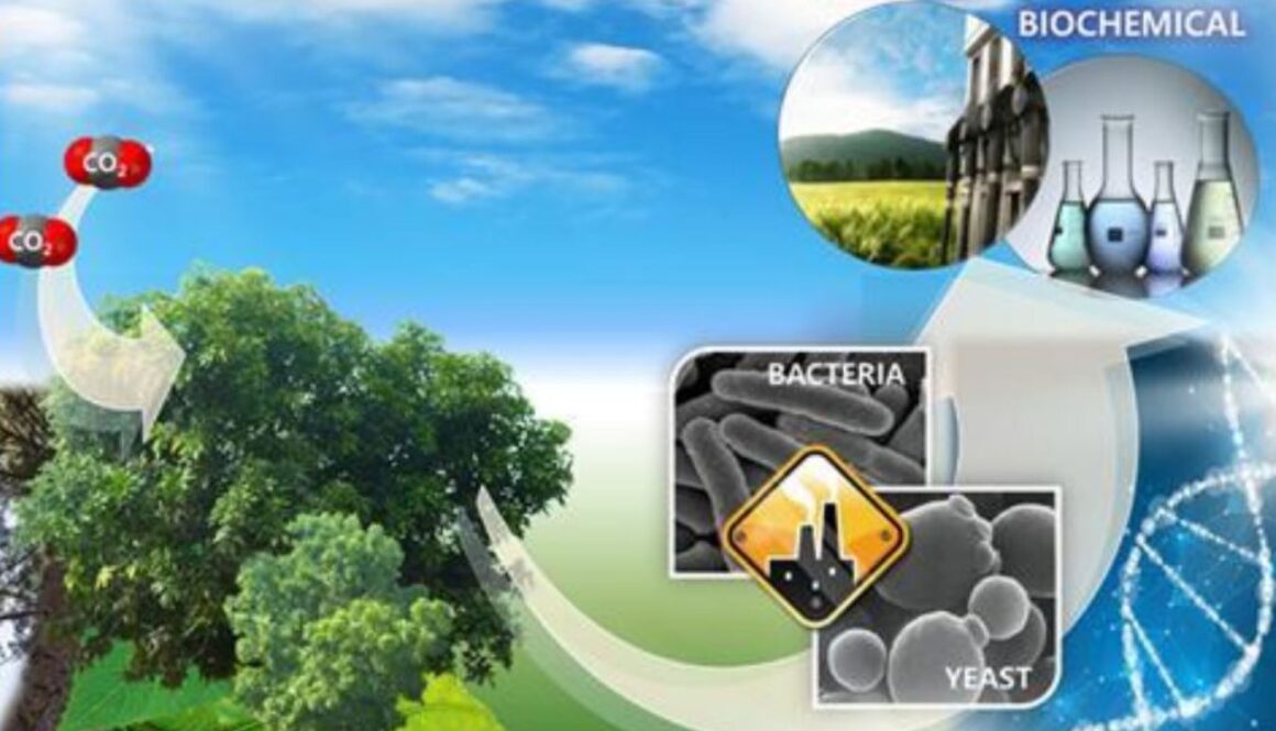 biodiesel