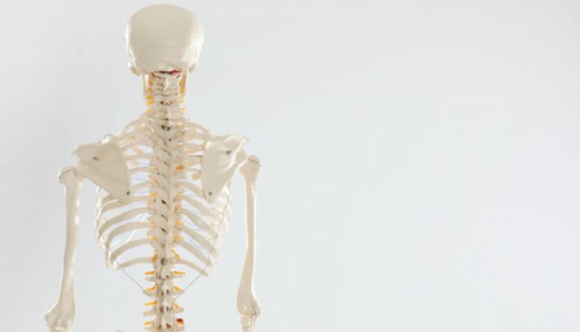 bone muscle loss gmi