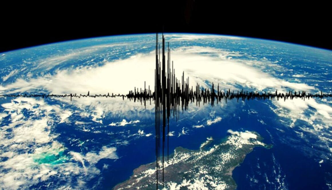 seismic tmu