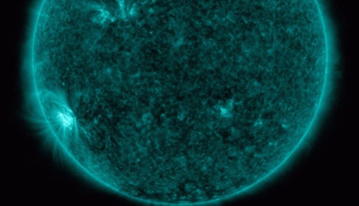 sunspot CA