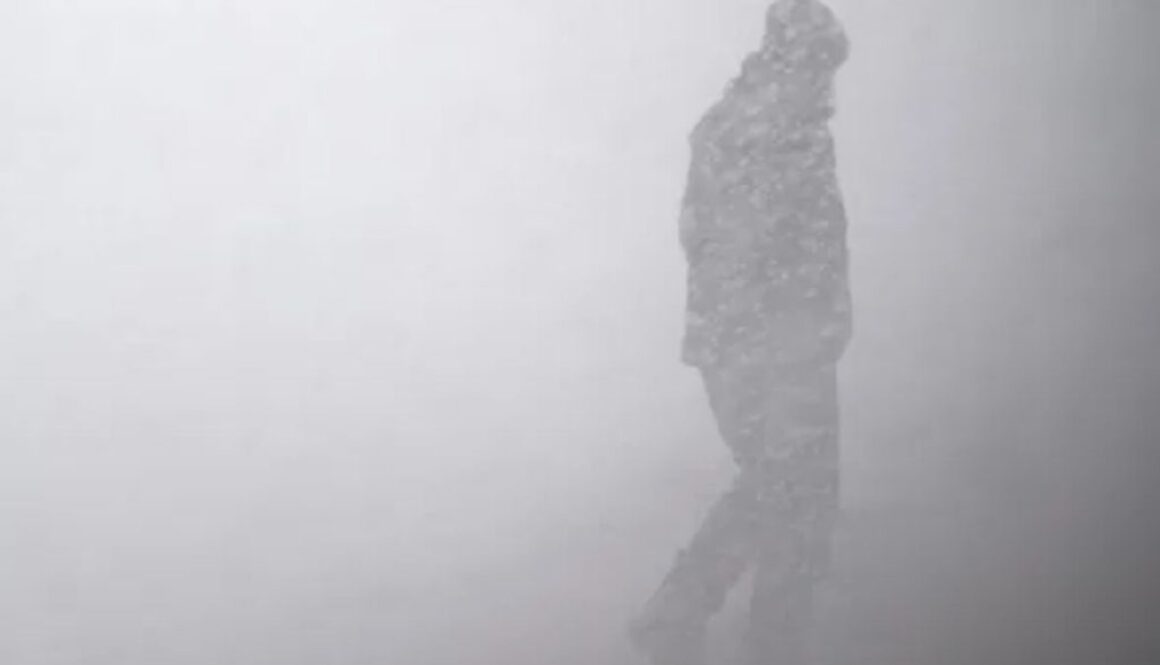survival winter op