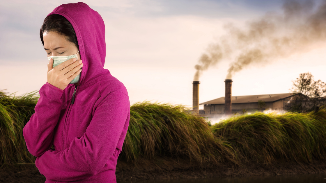 air pollution student test scores air pollution student test scores