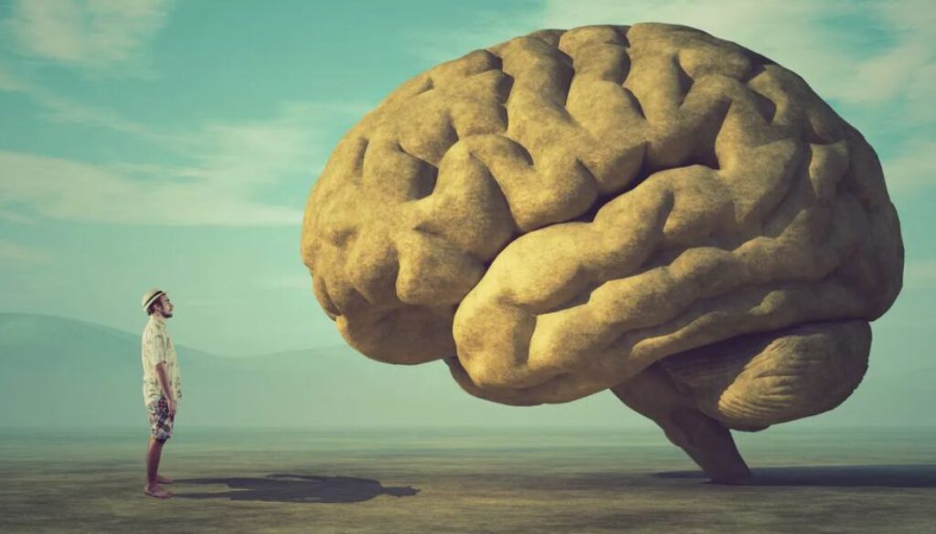 consciousness conversation