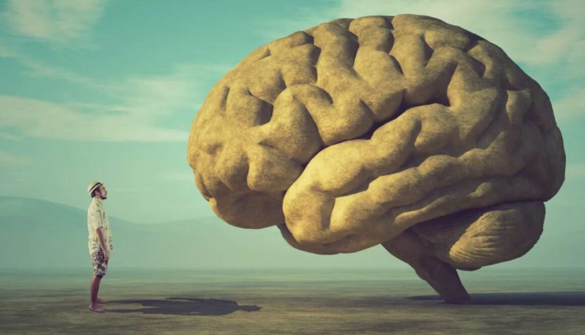 consciousness conversation