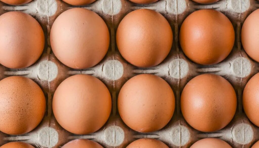 eggs conversation