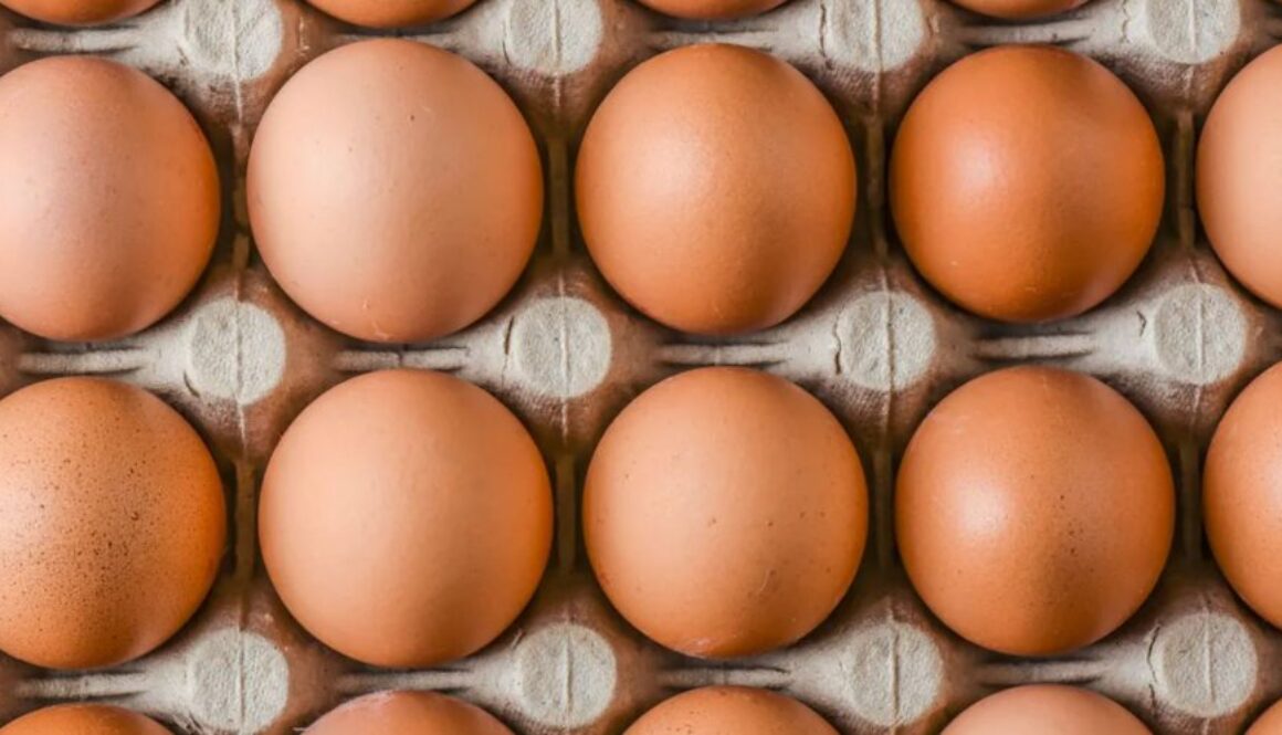 eggs conversation