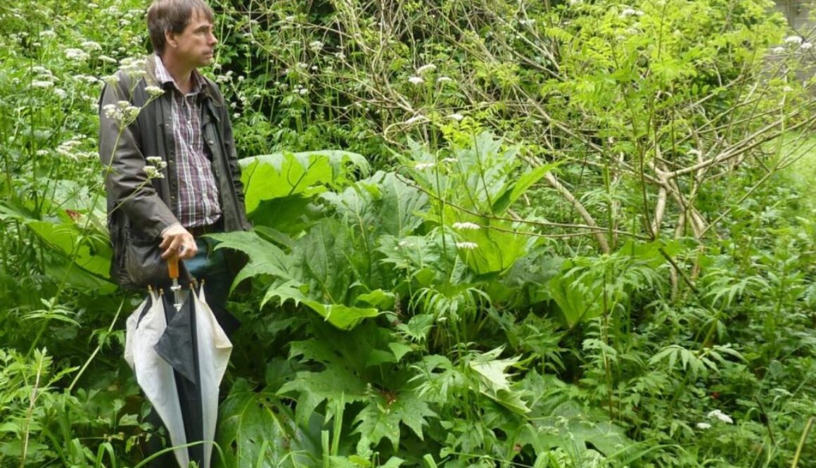 food forest roundfield