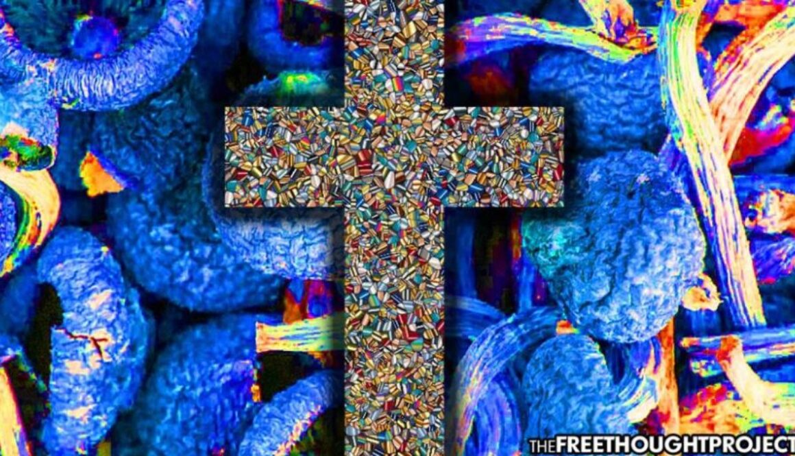 magic-mushrooms-religious-1050x525