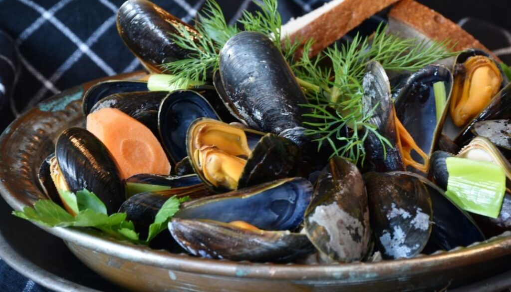 mussels pix
