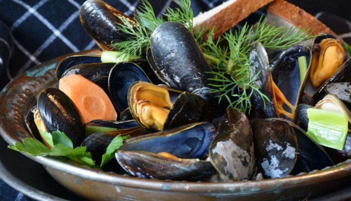 mussels pix