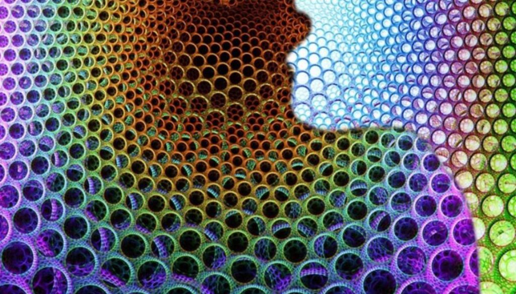 psychedelics dmt tmu