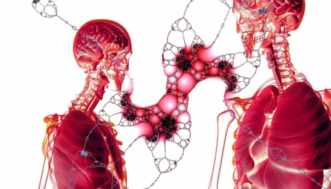 body tissues pix