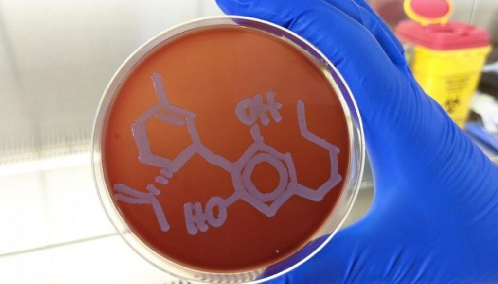 cbd molecule