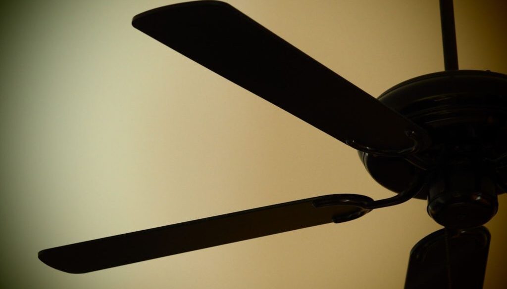 ceiling fan pix