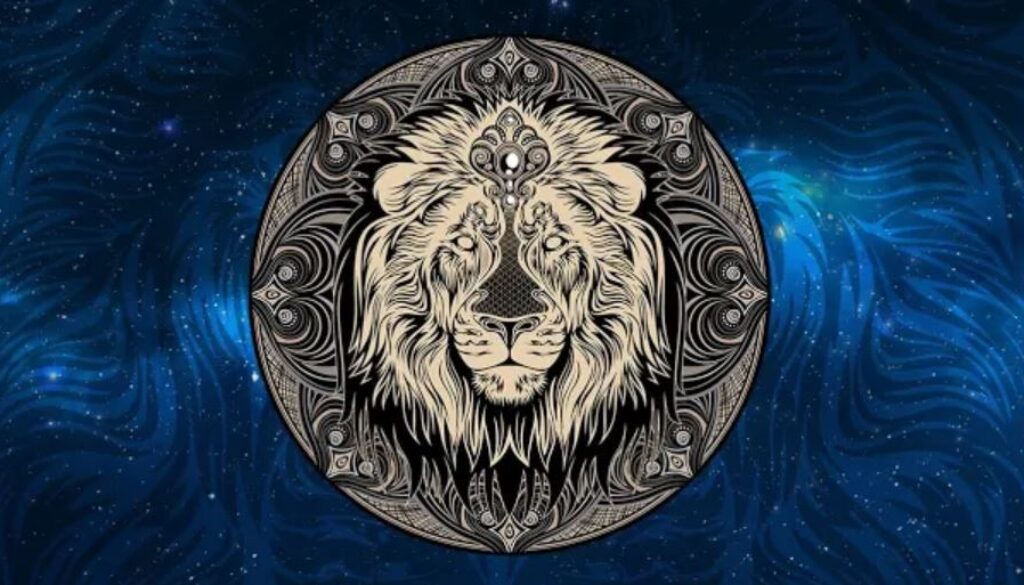 dmt tt