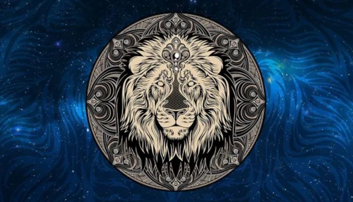 dmt tt