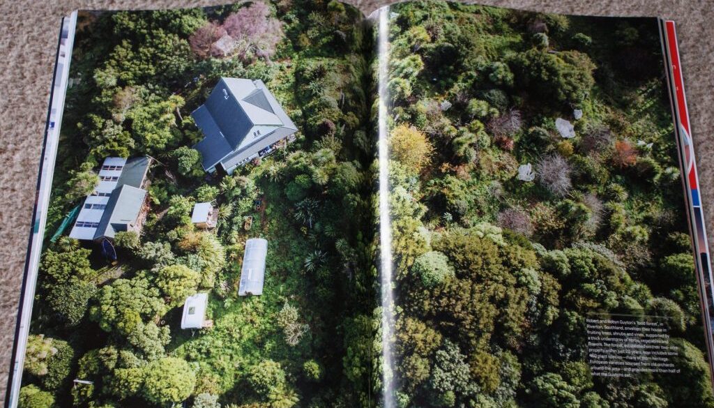 food forest