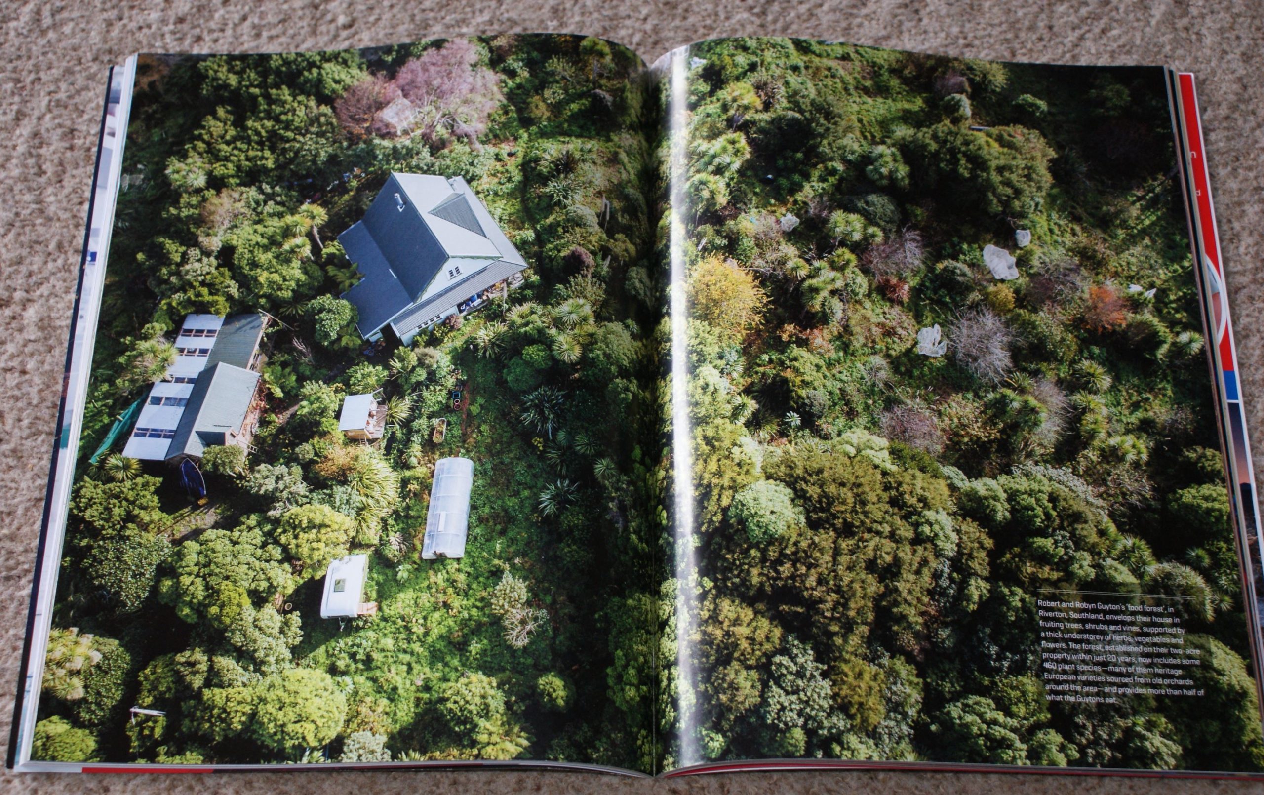 food forest food forest