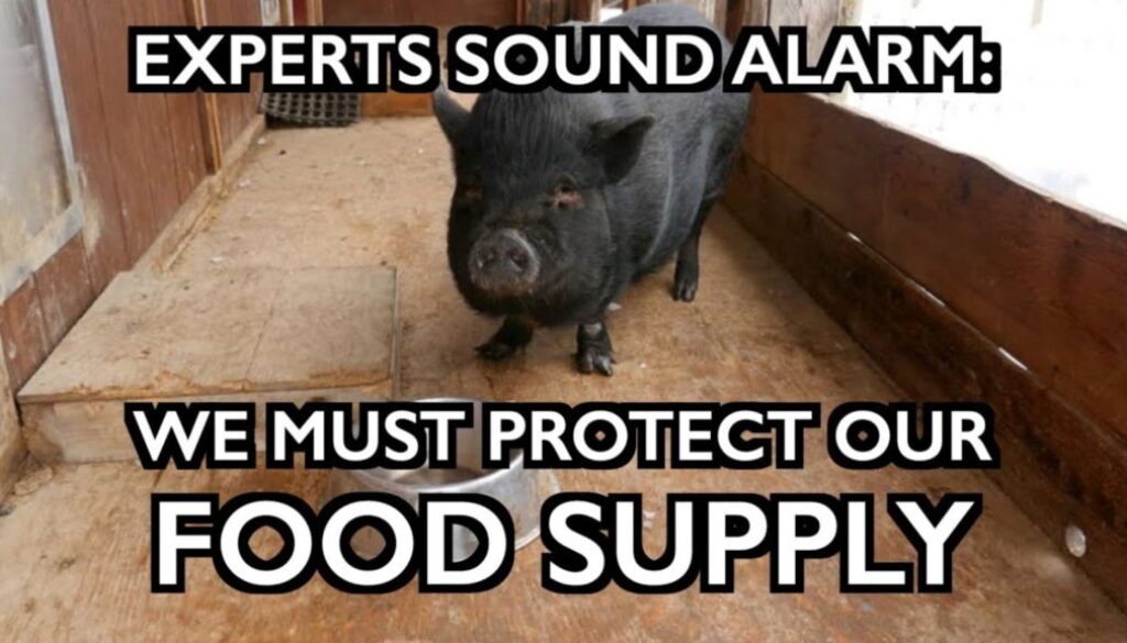 food supply iaf