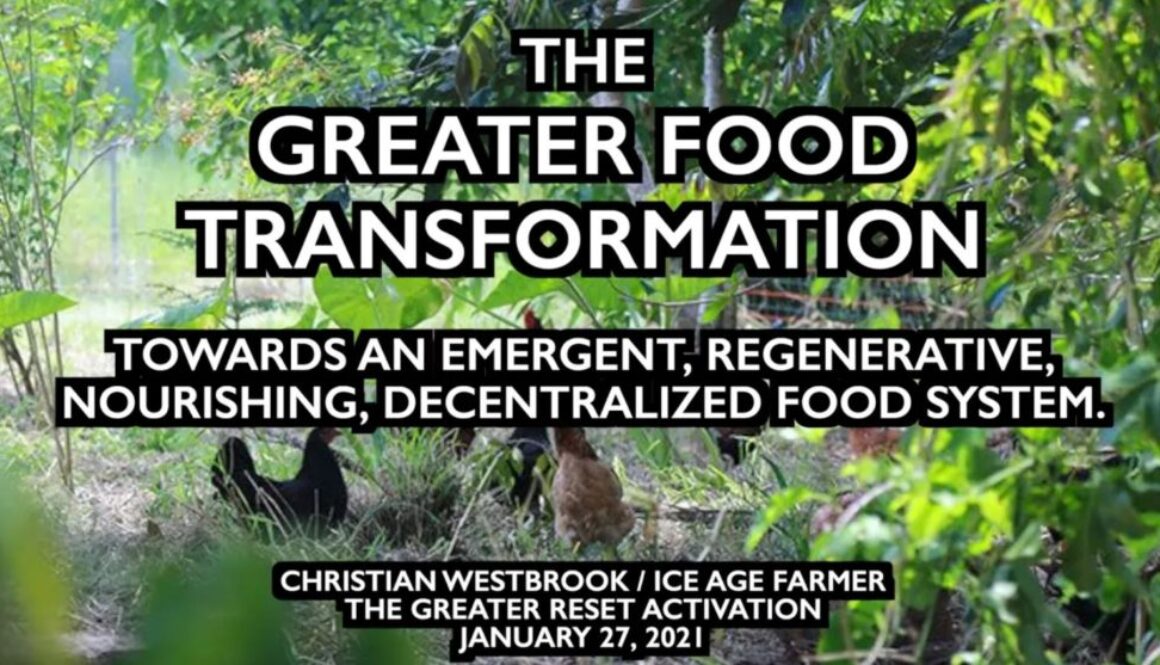 food transformation