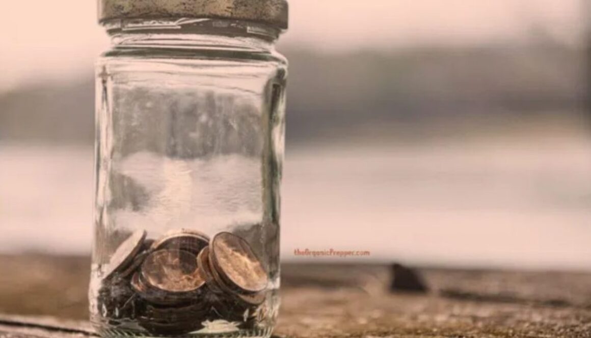 frugal prepper