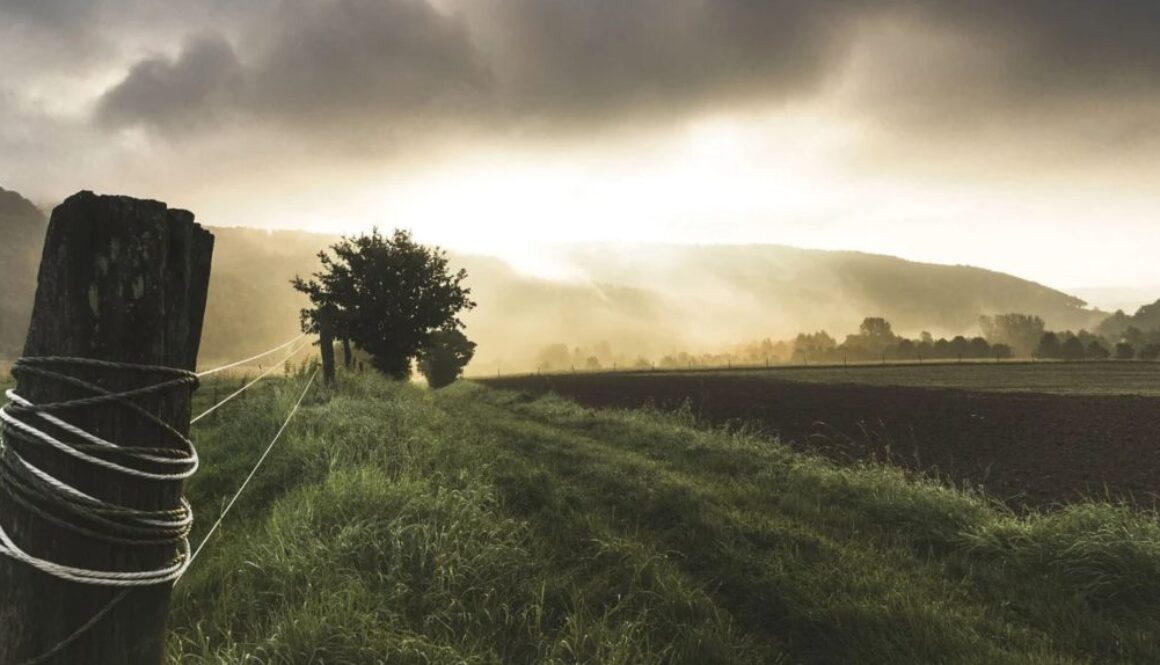 land pix