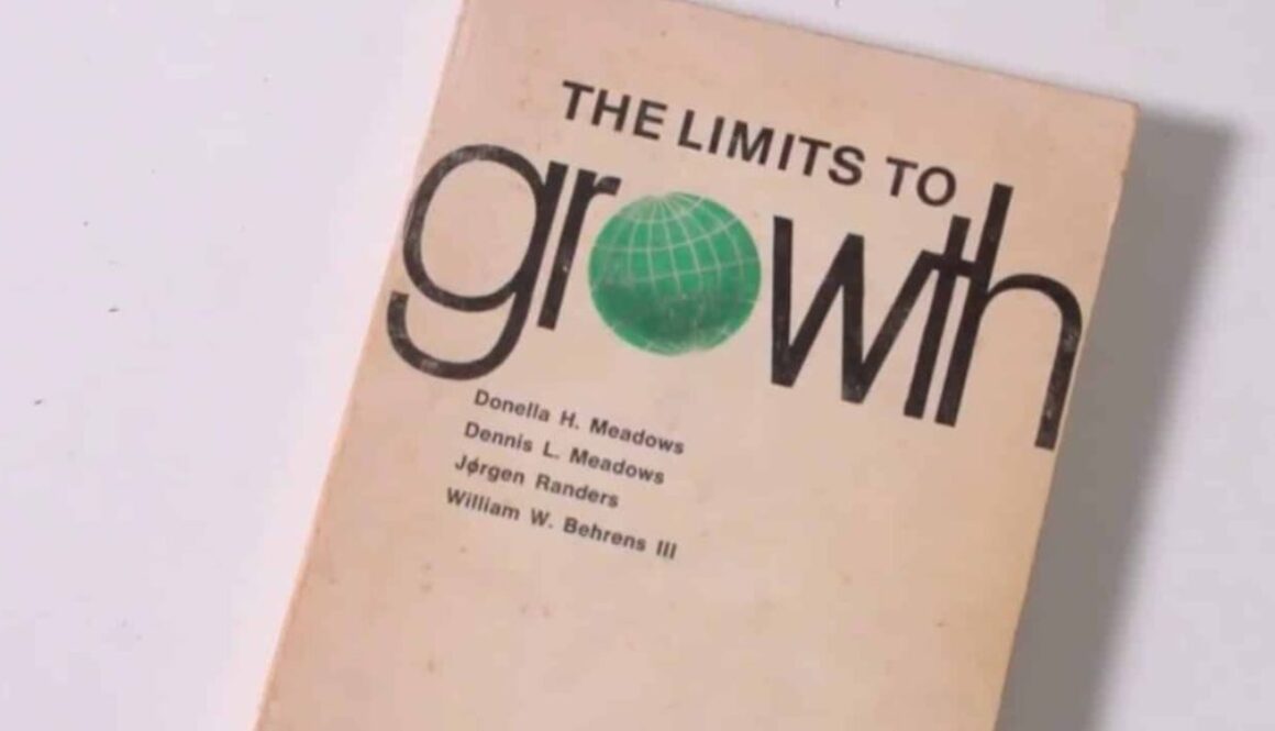 limits to growth