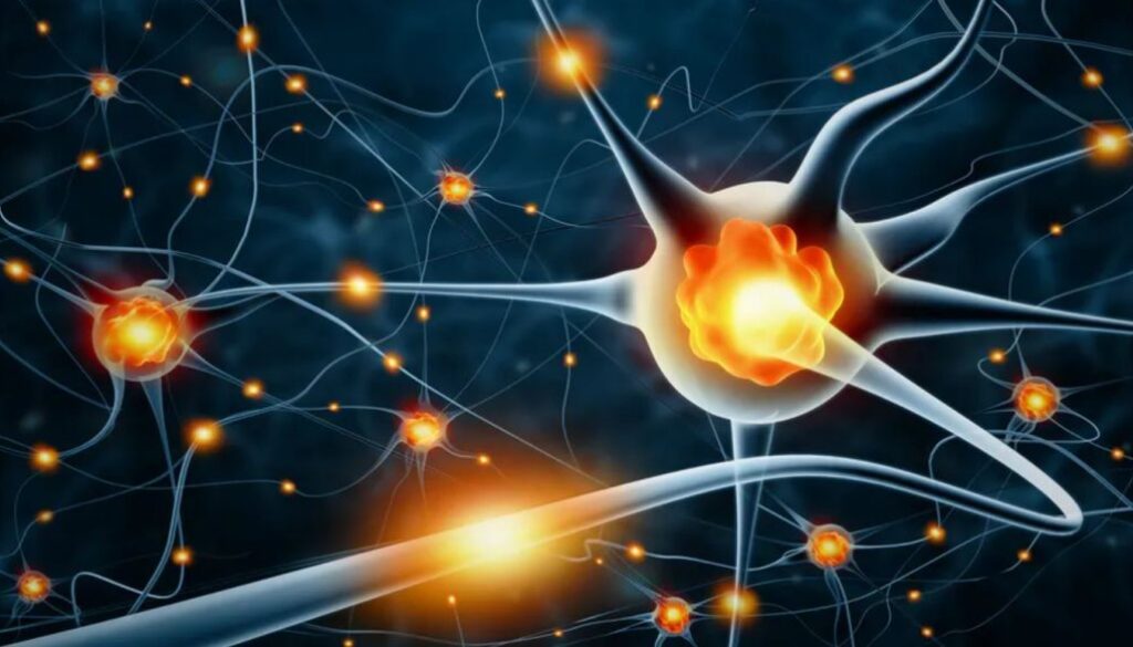 neurons conversation