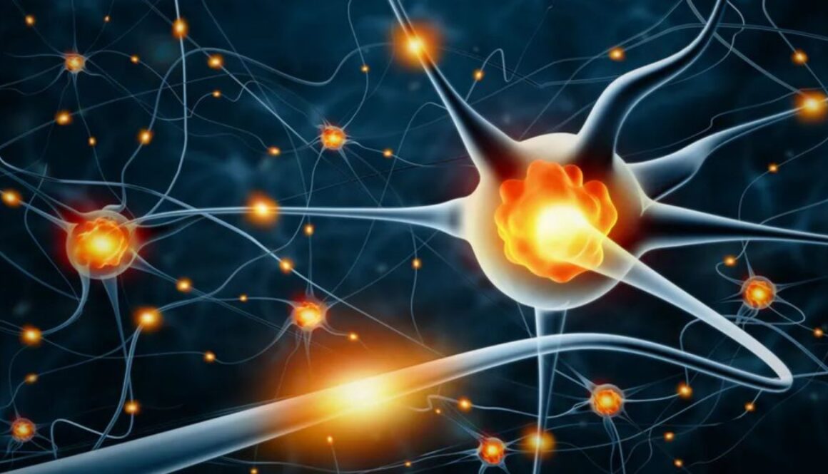 neurons conversation