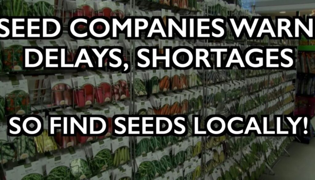 seed shortages iaf