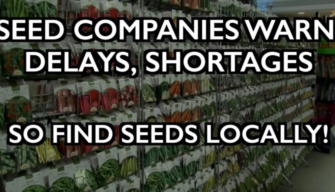 seed shortages iaf