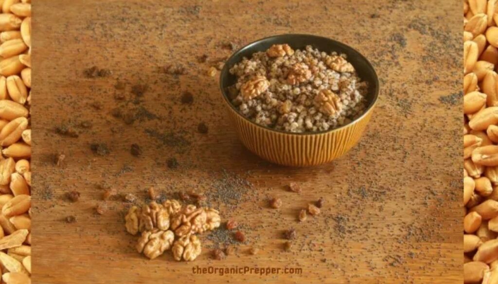 wheat berries
