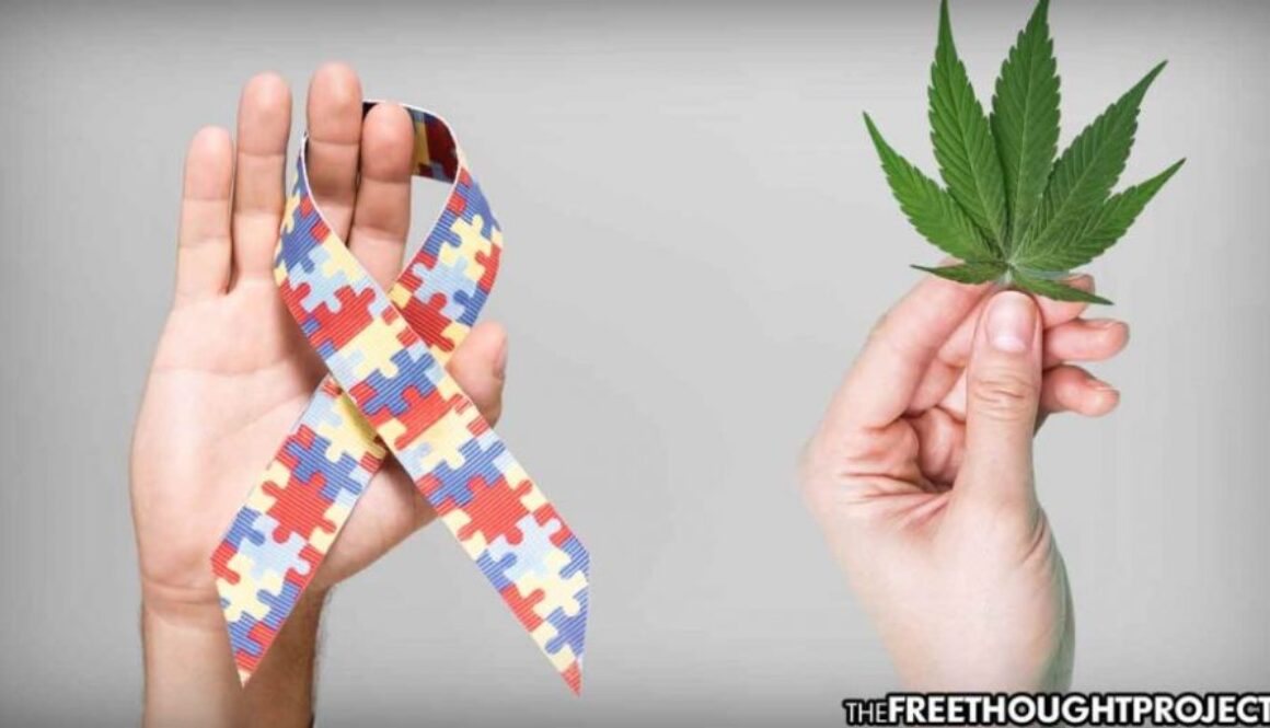 cannabis-autism-1050x525